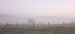 image007