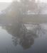 image021