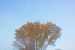 image032