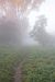image033