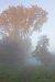 image034