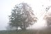 image039