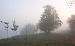 image043