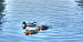 image022