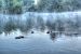 image027