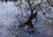 image027