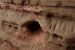 image24
