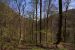 image004