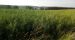 image09