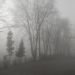 image05