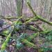 image06