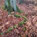 image07