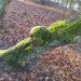 image09