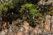 image029