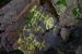 image033