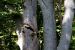 image048