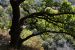 image049