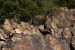 image054