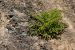 image057