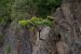 image072