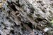image074
