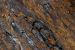 image082
