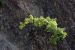 image088