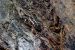 image089