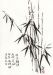 image02