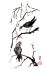 image21