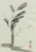 image02